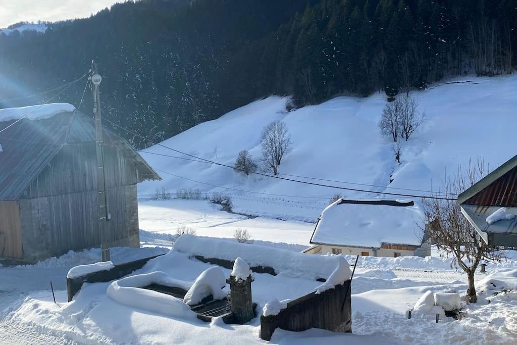 Du Penon - Aillon-le-jeune, Margeriaz - Maison De Village Holiday home *