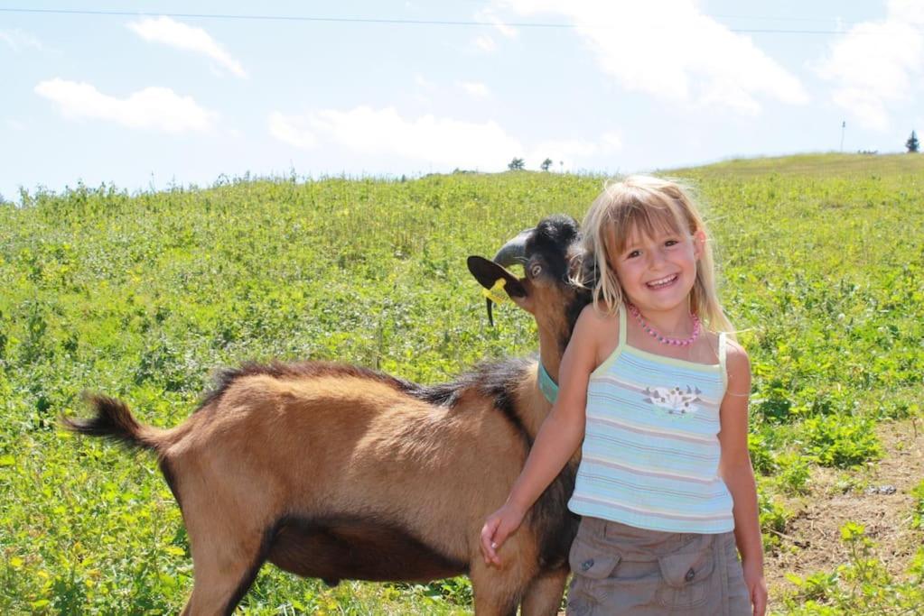 Hébergement de vacances Du Penon - Aillon-le-jeune, Margeriaz - Maison De Village *